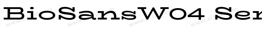 BioSansW04 SemiBold字体转换